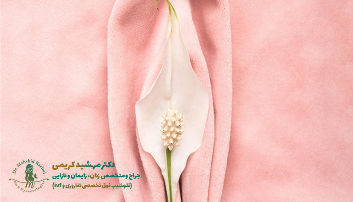 جراحی هودکتومی یا جراحی زیبایی کلیتوریس